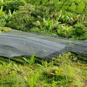 Shade Cloth For Agriculture & Tunnels